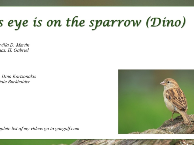 Why should I be discrouraged If God cares for the sparrow?  INJoy..