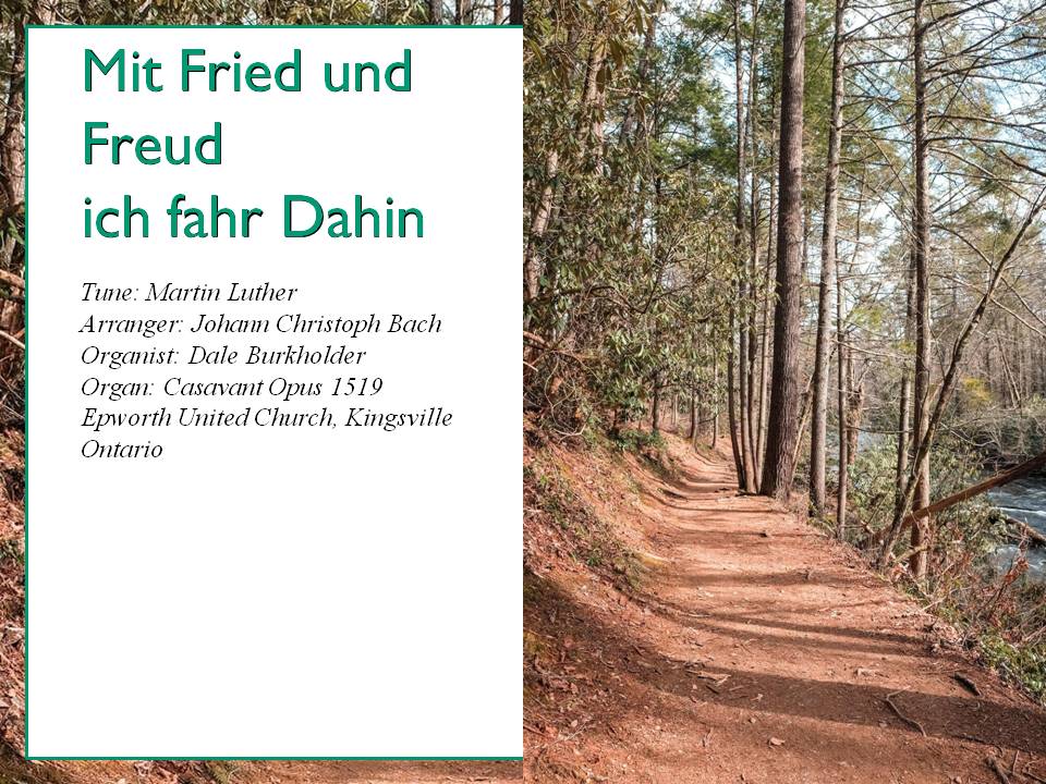 A nice fruguette by Johnann Christoph Bach (son of Johann Sebastian) and a stroll in the woods on a hot July day.