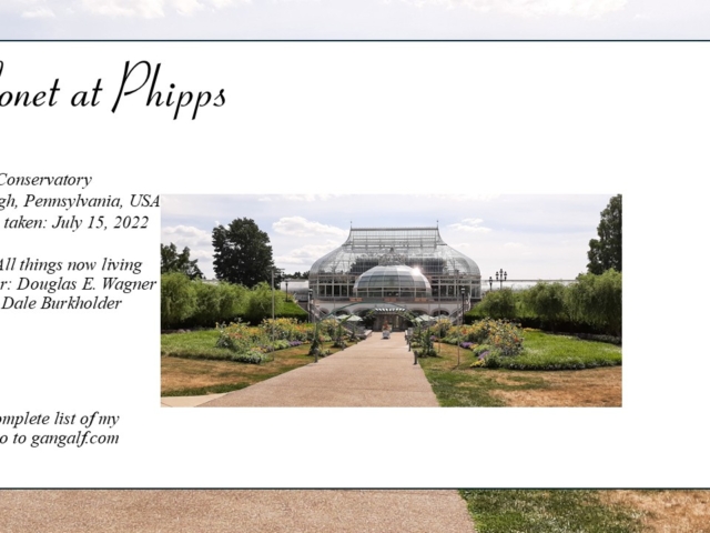 Let's take a stroll though my favourite gardens and reflect on the paintings of Claude Monet in flowers. INJoy...
