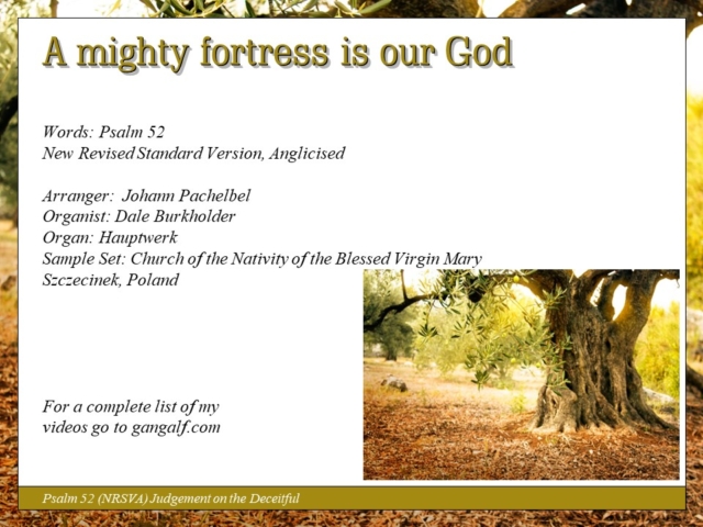 Psalm 52 is a contrast between those who do evil and God's faithful. Who are you? INJoy...